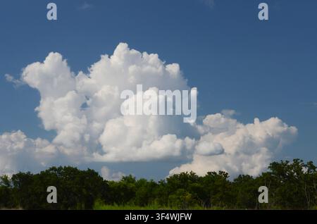 Cumulus Clouds over central Oklahoma cross timbers Stock Photo