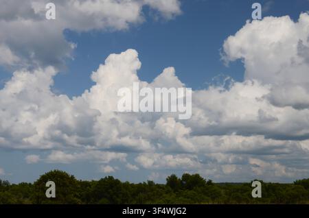 Cumulus Clouds over central Oklahoma cross timbers Stock Photo
