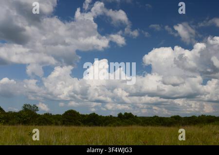 Cumulus Clouds over central Oklahoma cross timbers Stock Photo