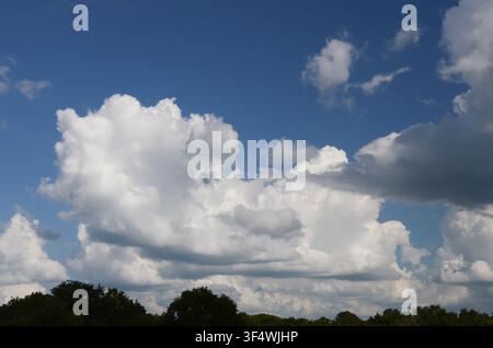 Cumulus Clouds over central Oklahoma cross timbers Stock Photo