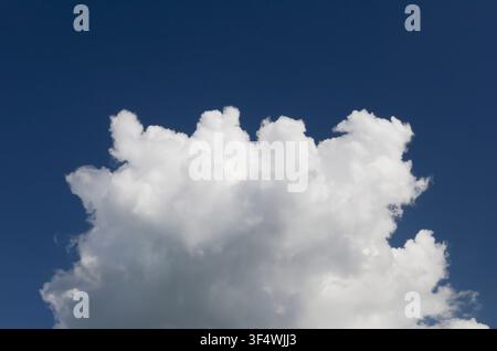 Cumulus Cloud Stock Photo