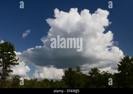 Cumulus Clouds over central Oklahoma cross timbers Stock Photo