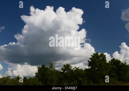 Cumulus Clouds over central Oklahoma cross timbers Stock Photo