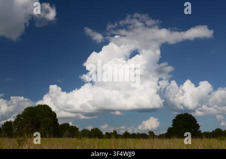 Cumulus Clouds over central Oklahoma cross timbers Stock Photo