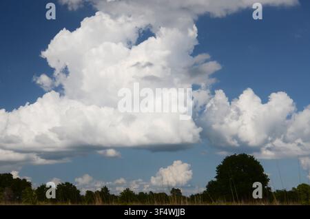 Cumulus Clouds over central Oklahoma cross timbers Stock Photo