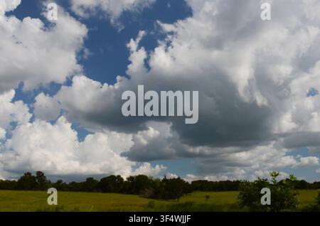 Cumulus Clouds over central Oklahoma cross timbers Stock Photo