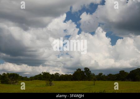 Cumulus Clouds over central Oklahoma cross timbers Stock Photo