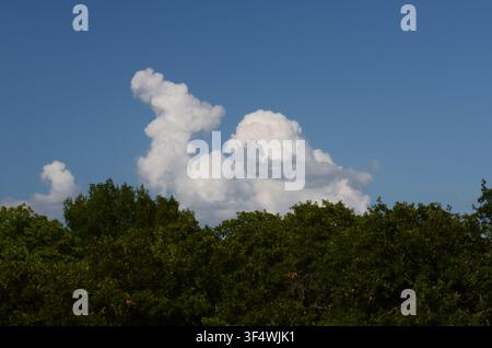 Cumulus Clouds over central Oklahoma cross timbers Stock Photo