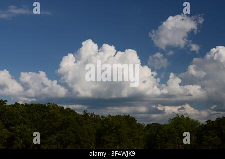 Cumulus Clouds over central Oklahoma cross timbers Stock Photo