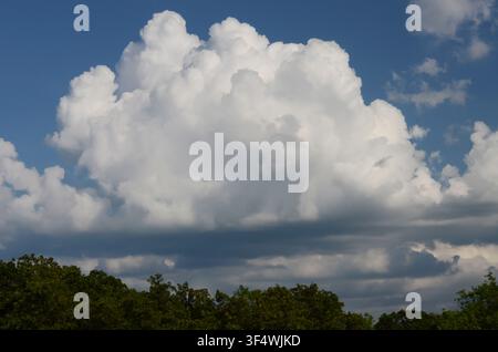 Cumulus Clouds over central Oklahoma cross timbers Stock Photo