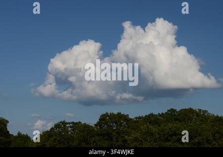 Cumulus Clouds over central Oklahoma cross timbers Stock Photo