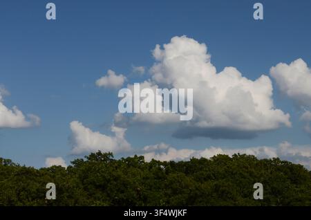 Cumulus Clouds over central Oklahoma cross timbers Stock Photo