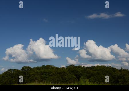Cumulus Clouds over central Oklahoma cross timbers Stock Photo