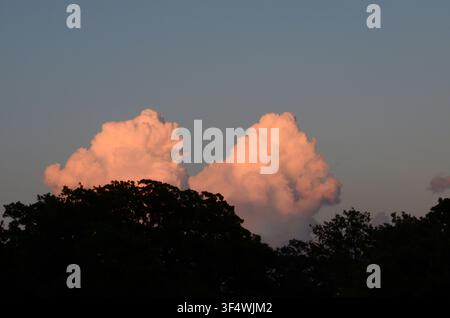 Cumulus Clouds in late light over central Oklahoma cross timbers Stock Photo