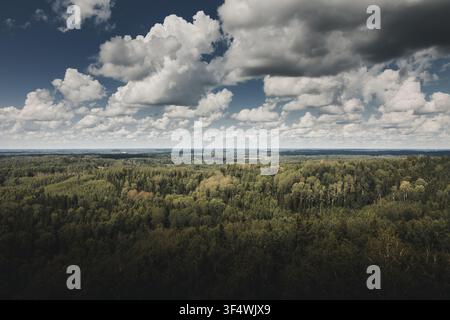 Aerial view of a vast, dense forest landscape under a dramatic sky with large, fluffy white clouds in Rezekne, Latvia. Stock Photo