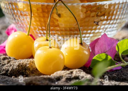 Fresh, ripe yellow cherries with stems resting on a textured stone surface, accompanied by pink bougainvillea petals and green leaves Stock Photo
