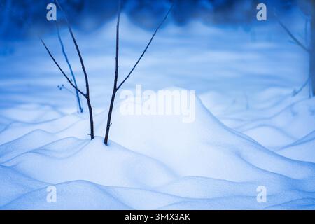 Winter background with snow drifts. Winter background with snow drifts. Background of fresh snow. Stock Photo