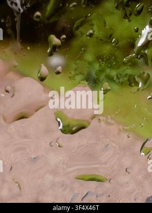 Raindrops on the wet windowpane Stock Photo