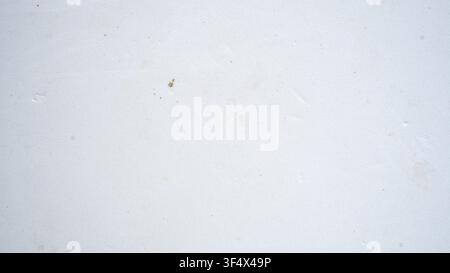 Off White Clean Wall Texture Background Surface Stock Photo