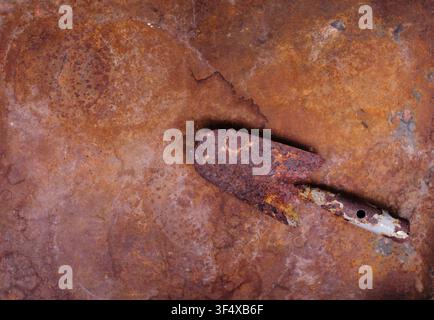 rust and oxidized metal surface background. and rusty small shovel,Grunge style Stock Photo