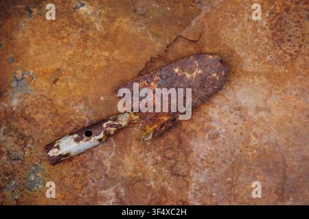 rust and oxidized metal surface background. and rusty small shovel,Grunge style Stock Photo