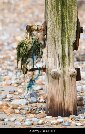 Groyne on the beach Stock Photo