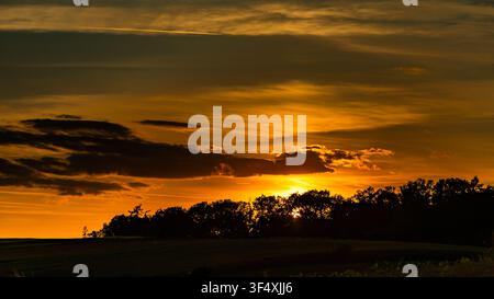 Dramatic golden sunset behind silhouetted trees and clouds Stock Photo