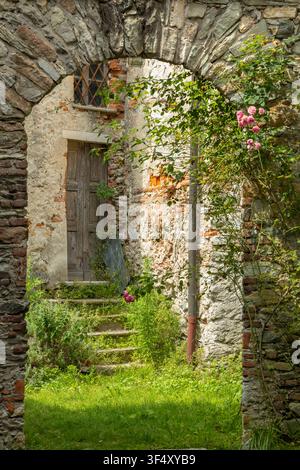 Rustic stone arch frames a weathered door with steps disappearing into lush green foliage and climbing roses Stock Photo