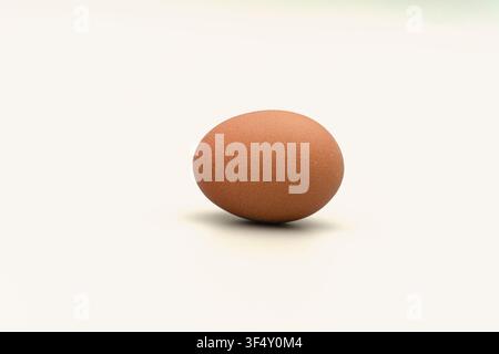 A brown egg sits in the center of a plain white background. The focus is on its smooth surface and round shape. This setup shows the egg clearly witho Stock Photo