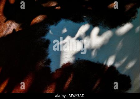 A detailed macro view of a brown horse coat illuminated by bright natural sunlight, creating an abstract high-contrast pattern with dramatic silhouettes and soft textures. Stock Photo