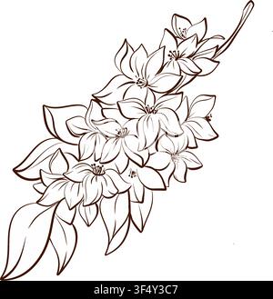 Blossoming fruit tree branch with delicate flowers, botanical line drawing vector illustration in graceful French style for wedding stationery Stock Vector