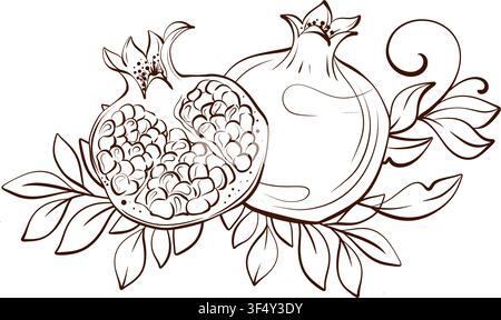 Whole pomegranate beside opened half with botanical flourish, contour line vector illustration in elegant vintage style for gourmet packaging Stock Vector