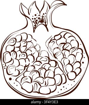 Pomegranate half revealing seeds, fine line vector illustration with refined botanical character for gourmet packaging, branding, menus, stationery Stock Vector