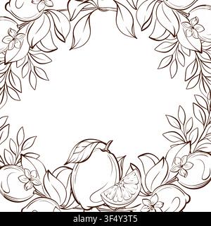Square composition with lemon, citrus slice and botanical branches, pen line vector illustration in classic heritage style for tea packaging, branding Stock Vector