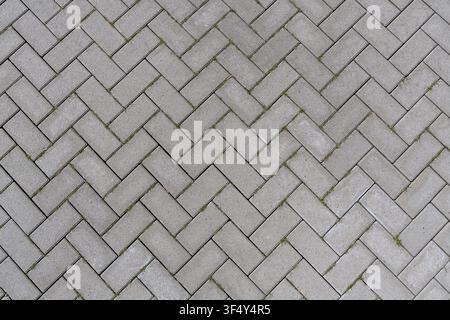 grey brick pavement arranged in a traditional herringbone pattern Stock Photo