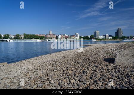 A cargo barge and cruise ships on the Rhine river in Germany during extreme low water in July 2026. Large dry pebble bank in front Stock Photo