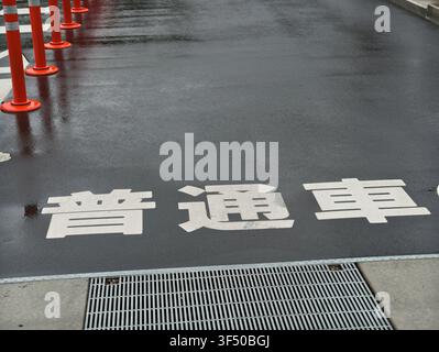 Wet asphalt shows white Japanese characters. Orange cones line the edge of the road. Rain slicks the surface, reflecting light. Metal grate sits near Stock Photo
