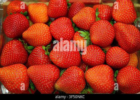 A full-frame macro view of ripe red strawberries with green hulls tightly arranged in a market container. Stock Photo