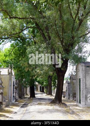 Large leafy trees create a shaded canopy over a paved pathway lined with stone mausoleums inside Prazeres Cemetery in Lisbon, Portugal Stock Photo
