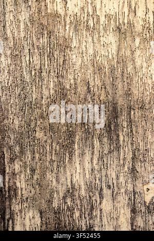 Full frame close up of a weathered concrete wall with a rustic scratching pattern, aged details, and natural brown and beige earthy tones. Textured ba Stock Photo