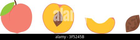 Flat Vector Peach and Apricot Fruit Set with Whole Half Slice and Pit Isolated Icons Stock Vector
