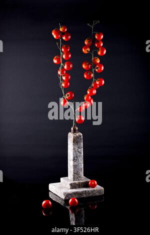 Ripe red cherry tomatoes on a stand against a black background Stock Photo