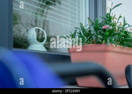 A round white smart security camera sits on an indoor windowsill behind glass, viewed past a terracotta planter of green foliage and pink flowers Stock Photo