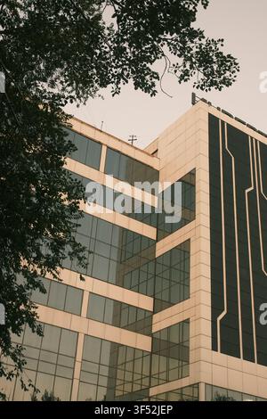 Low-angle view of a modern office building with reflective glass windows and geometric circuit-board design elements, framed by organic tree branches. Stock Photo