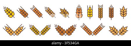 Wheat icon set. Colorful barley spike or corn ear symbol collection. Grain logo template Stock Vector