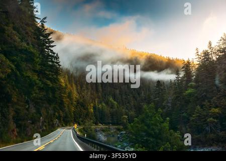 Winding road through a foggy forest at sunrise Stock Photo