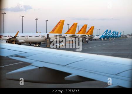 Multiple airplanes with orange and blue tails are parked at an airport gate. Stock Photo