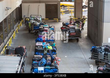 A group of people are loading luggage onto carts in a covered outdoor area. Stock Photo