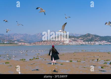 Woman watching seagulls take flight on coastal tidal flat, Shazikou, Qingdao Stock Photo