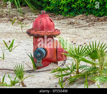 A traditional red, metal fire hydrant situated on a sandy beach, p Stock Photo
